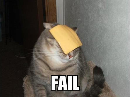 Cat-Cheese-Fail.jpg