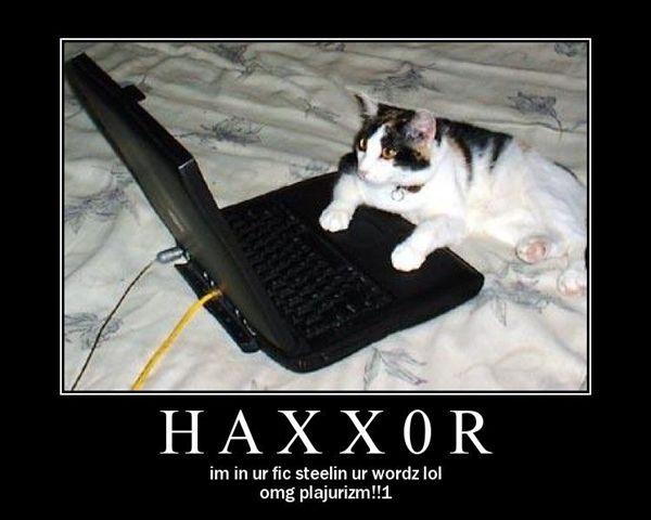 Haxxor_Cat.jpg