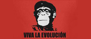 viva-evolution-small.jpg