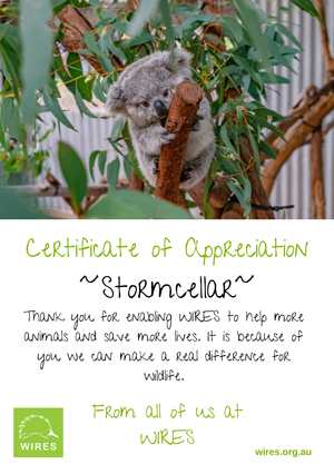 wires-130320-e-Certificate---Stormcellar.png